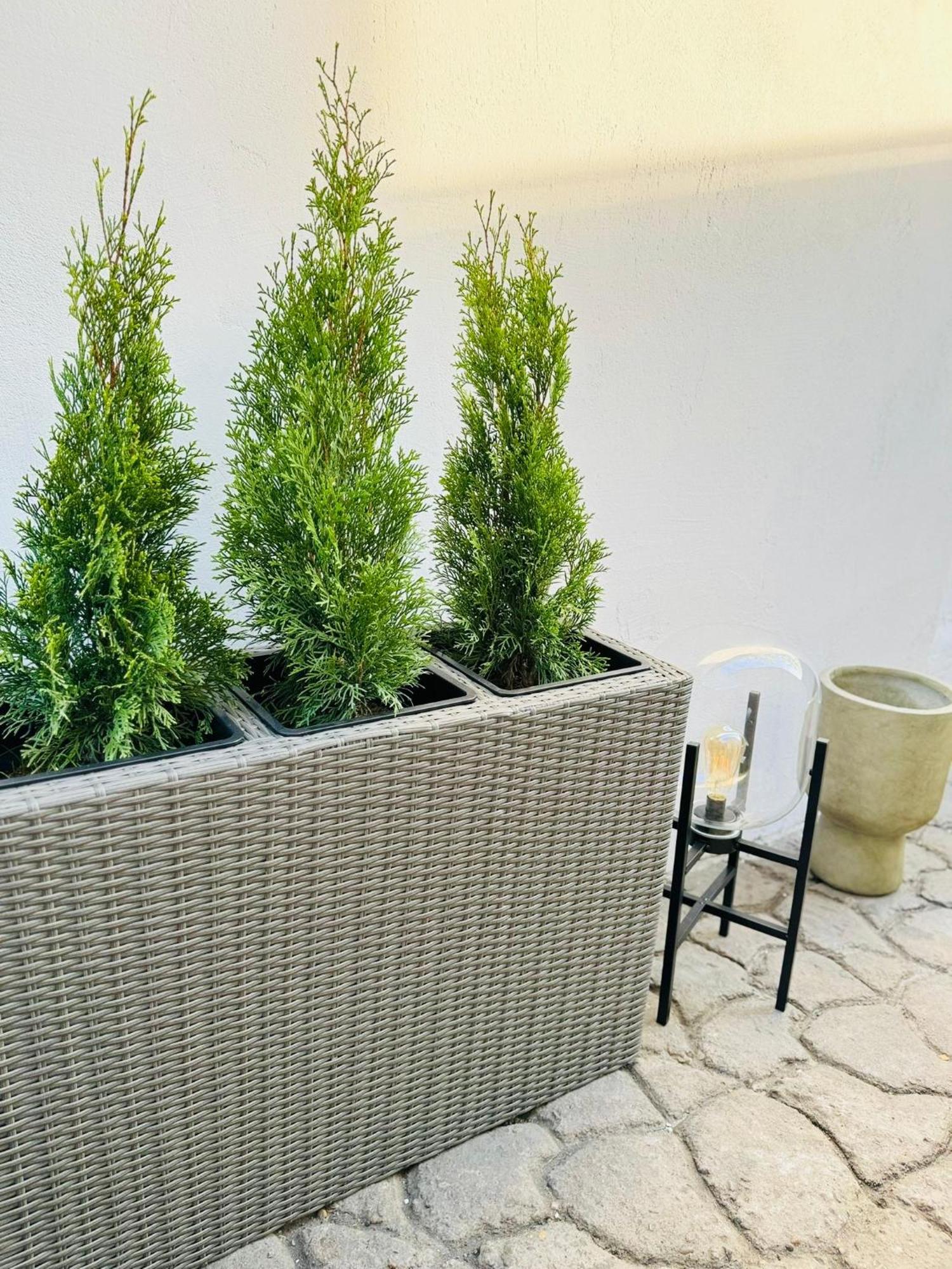 Serbian House Timisoara Ngoại thất bức ảnh