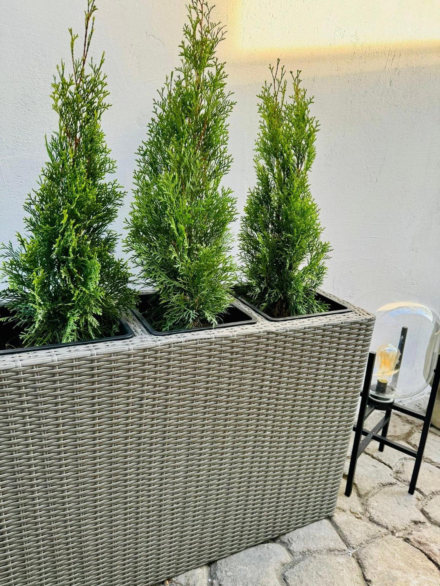 Serbian House Timisoara Ngoại thất bức ảnh